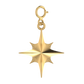 Gold Sparkle Charm - Bunx